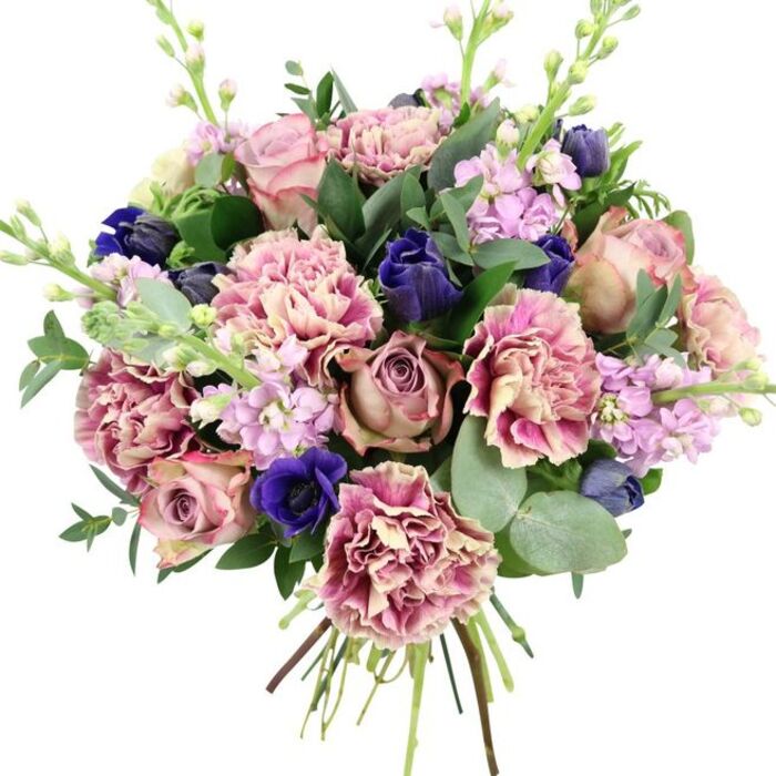 This image shows an abundant hand-tied bouquet composed with the precision of an experienced Bankside florist, set against a simple white background that lets every colour and texture stand out clearly. Several large garden roses in blush pink, dusty rose, and muted mauve form the central cluster, their petals tightly layered yet softly opening to reveal a classic, romantic spiral. Around them, generously placed carnations create a rich sense of volume; their petals are deeply ruffled and display a gentle gradient from creamy beige and pale blush at the centre to deeper rose and fuchsia at the frilled edges, giving the bouquet a plush, almost fabric-like feel. Striking royal blue and indigo flowers, including a fully open anemone with a dark, near-black centre and several closed, tulip-shaped buds, break up the pink tones with dramatic depth and an almost velvety saturation of colour. Delicate stems of pale lavender and lilac stock weave upward through the design, each stem lined with many small blossoms that lend an airy, vertical lightness. The flowers are anchored by a mix of foliage: broad, deep green leaves and soft, silvery-green eucalyptus discs that add both structure and a suggestion of soothing, aromatic freshness. The natural stems are left visible and neatly tied at the base, a hallmark of a freshly created bouquet ready for same-day delivery around Bankside, Blackfriars, or the South Bank. The overall effect is refined yet emotive, ideal for anniversaries, milestone birthdays, or spring celebrations in riverside homes where a touch of elegant colour can brighten both table and mood.