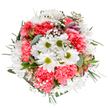 This bouquet radiates the gentle exuberance of spring in Bankside, blooming with a carefully considered mix of fresh coral-pink carnations, crisp white daisies, and light-as-air gypsophila. The daisies, nestled at the center, shine with clean white petals and lively lime centers, drawing the eye and evoking the optimism of riverside gardens after rain. Clusters of ruffled carnations fan outwards, their plush coral-pink petals lending warmth and a joyful contrast to the calm whites. Woven intricately throughout, baby's breath whispers of softness and light-a floral halo reminiscent of the skies above the Millennium Bridge at dawn. Sprigs of eucalyptus and deep green foliage add depth and a tranquil, leafy aroma, echoing the lushness found in Bankside's urban green spaces. Just beneath the blossoms, hints of unopened alstroemeria buds with tender pink and purple accents add detail and suggest new beginnings. Crafted with a flair unique to Bankside's community of florists, this arrangement's circular form feels both intentional and inviting-perfect for expressing gratitude, celebrating a birthday, or sending a gentle message of encouragement. Its fresh-picked energy and harmonious palette would brighten any home, from riverside apartments to artsy studios on Bear Gardens, testament to the skilled artistry and genuine care that blooms daily in Bankside.